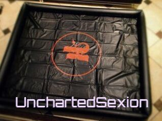UnchartedSexion