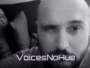 VoicesNoHue
