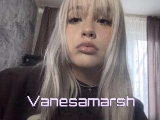 Vanesamarsh
