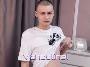 Vaneslinel