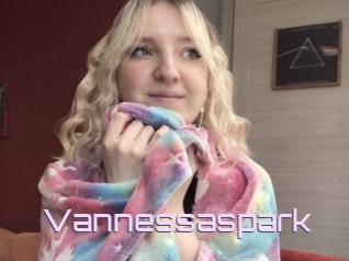 Vannessaspark