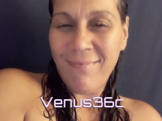 Venus36c
