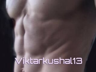 Viktarkushal13
