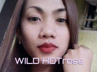 WILD_HOTrose