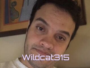 Wildcat315