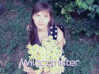 Wildcumster