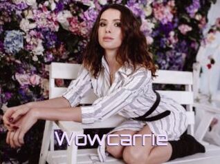 Wowcarrie