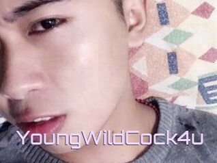 YoungWildCock4u