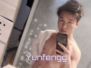 Yunfengg
