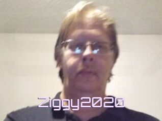Ziggy2020