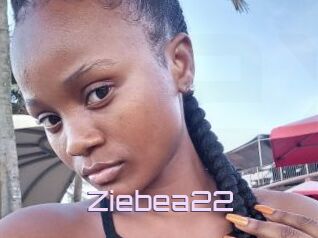 Ziebea22